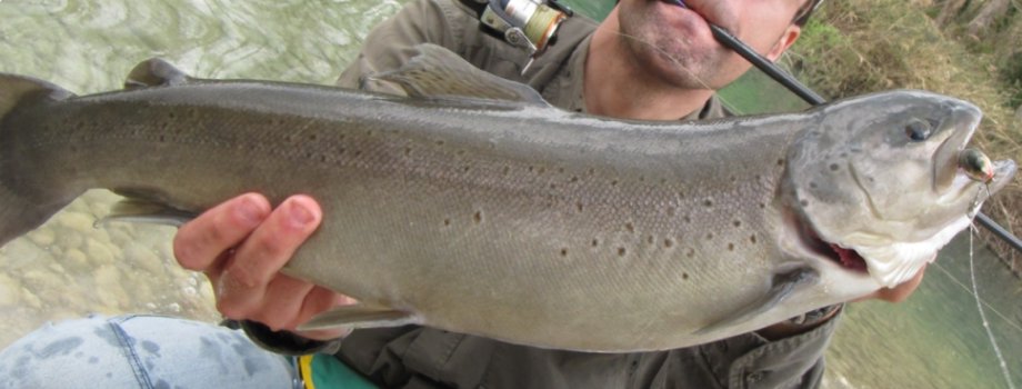 Lago Dei Cigni - Pesca Sportiva