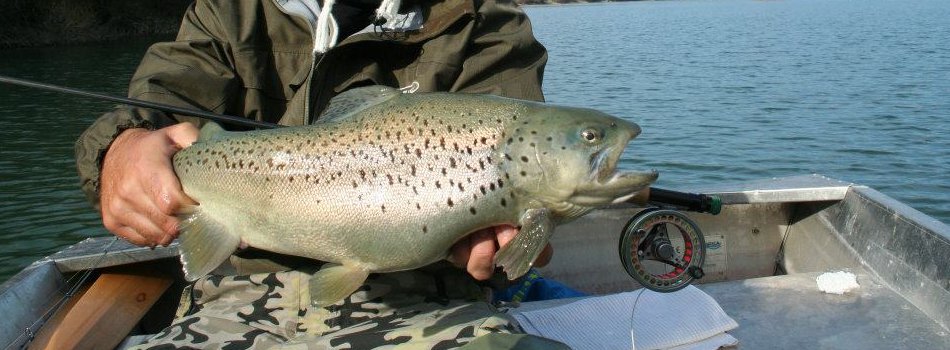 Lago Dei Cigni - Pesca Sportiva