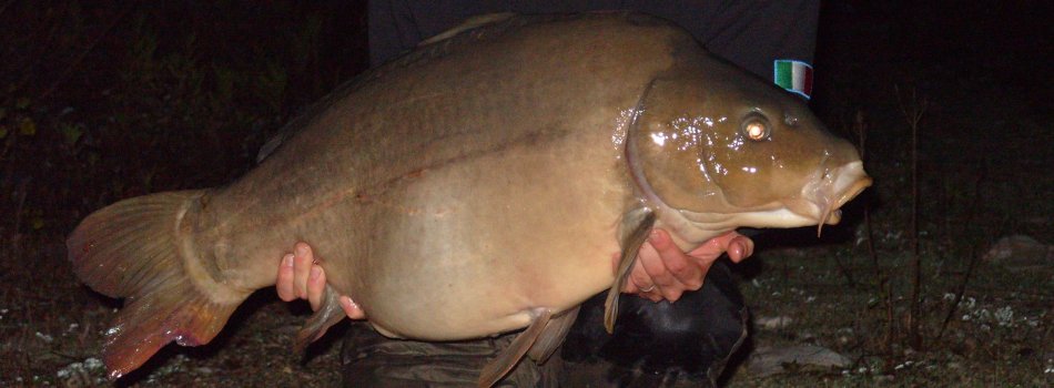 Lago Dei Cigni - Pesca Sportiva