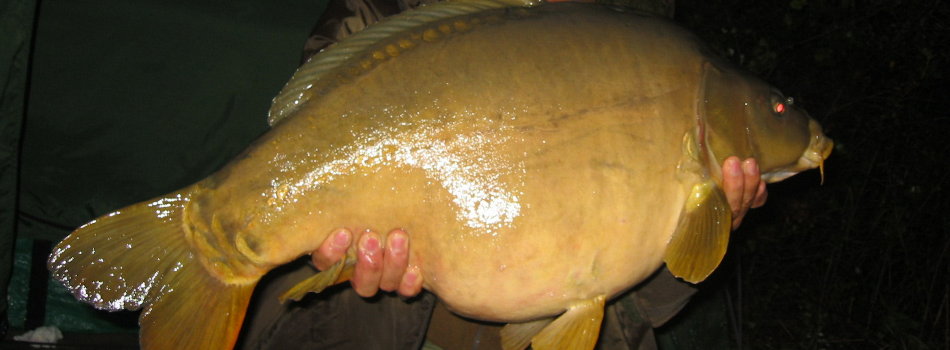 Lago Dei Cigni - Pesca Sportiva